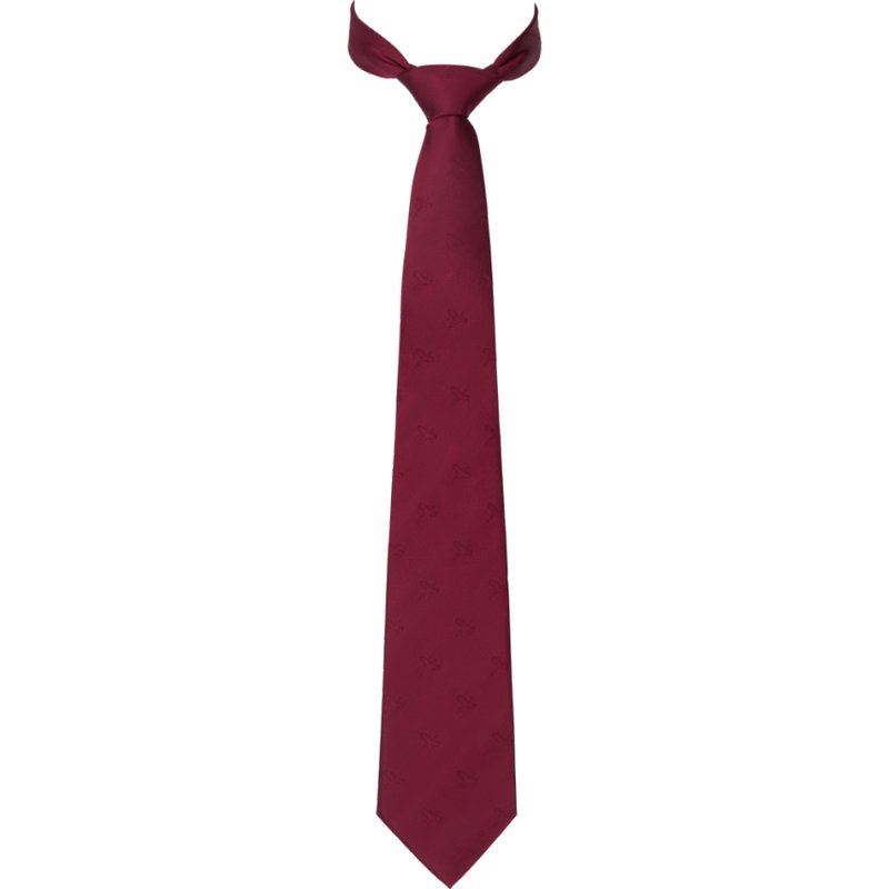 Retrieve Pheasant silk tie
